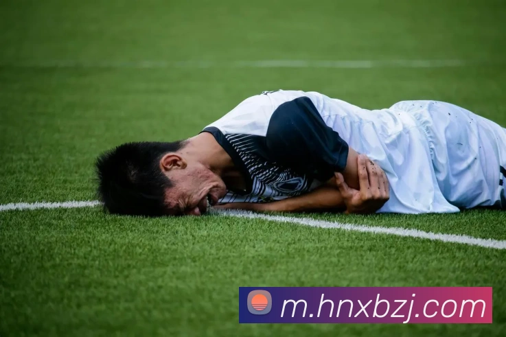 九游j9官网入口服务体系